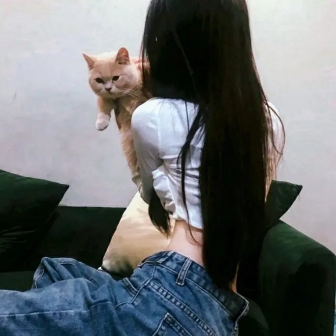 你好安妮