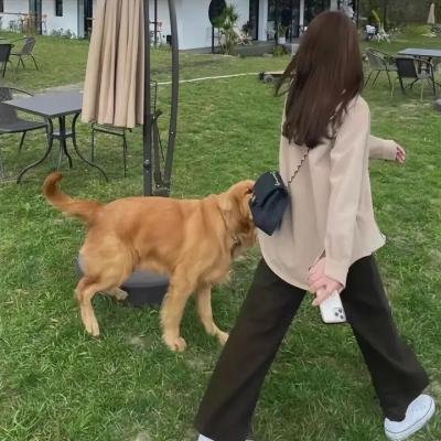 羊惧